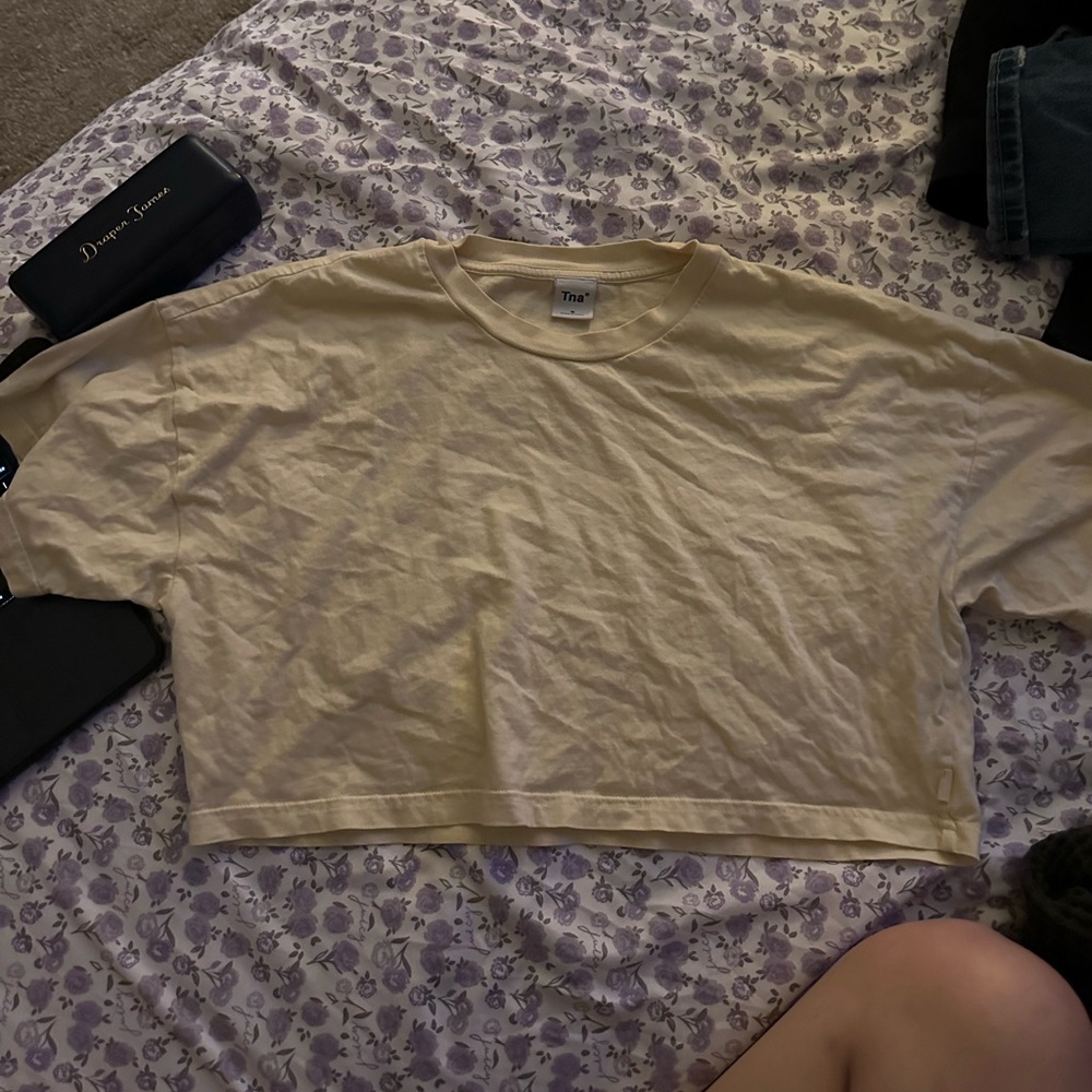 TNA aritzia crop tee